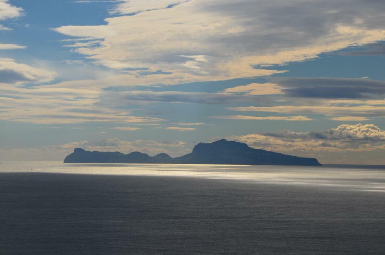 Appartamento Panoramico "Il Glicine" Napoli Eksteriør bilde
